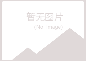 上海盼夏能源有限公司